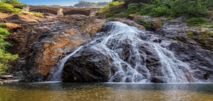 Things to Do Near Dudhsagar Waterfalls