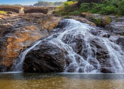 Things to Do Near Dudhsagar Waterfalls
