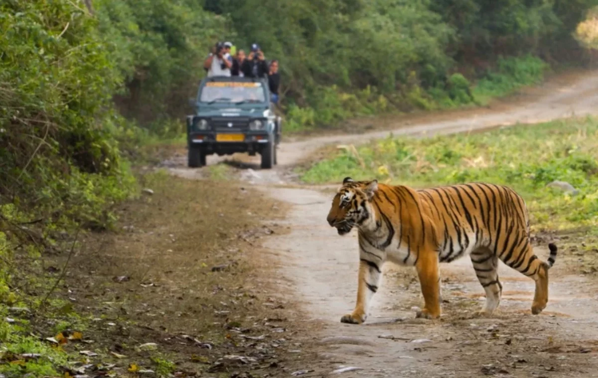 GOLDEN TRIANGLE TOUR WITH TIGER SAFARI